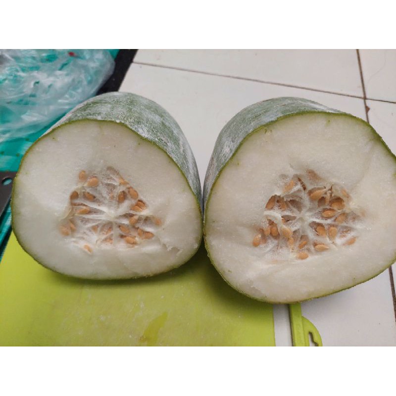Benih Buah Kundur / benih buah bligo / benih beligo / benih sayur