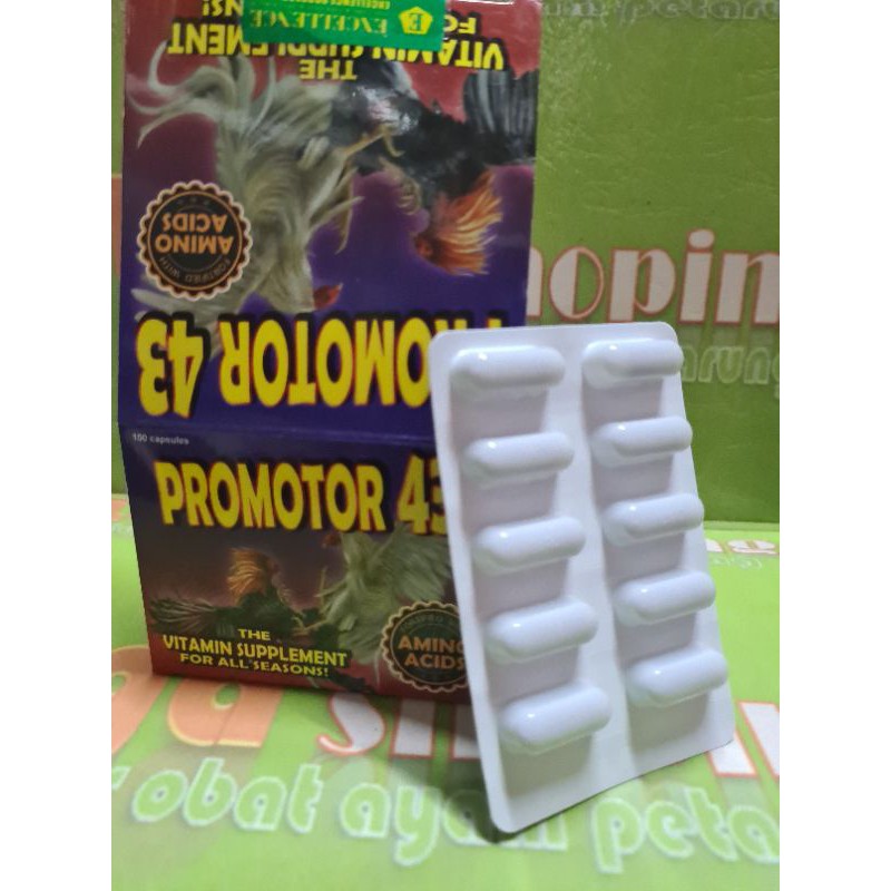 promotor43 asli ori doping vitamin ayam tarung kuat nafas fisik 1lb=10capsul multivitamin