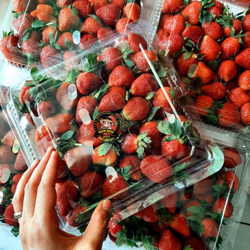 

STRAWBERRY FRESH -+1KG GOOD QUALITY / STRAWBERRY FROZEN 1KG COCOK UTUK DIJUAL LAGI HARGA PARTAI KUALITAS BAIK