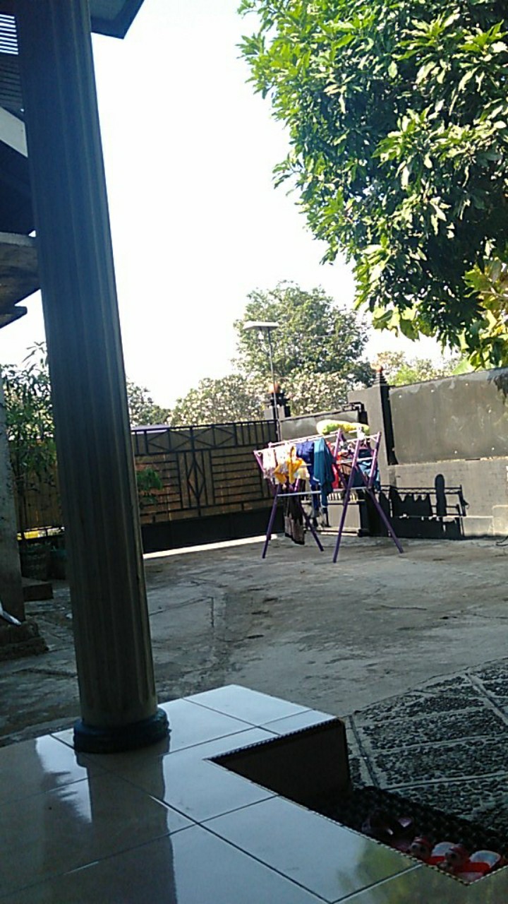  celana  pendek anak  CEWEK pikachu grosir  celana  pendek 