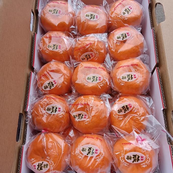 

Hampers Jeruk Imlek Ponkam ponkan HDL isi 30 pc [[[TERBARU BISA COD]]]