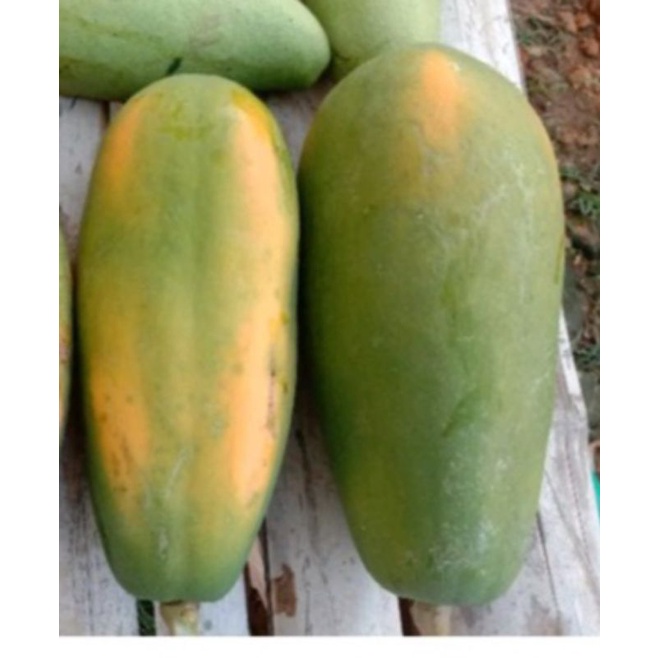 

BUAH PEPAYA KALIFORNIA 800 gr++.. sedia pepaya muda dan pepaya matang