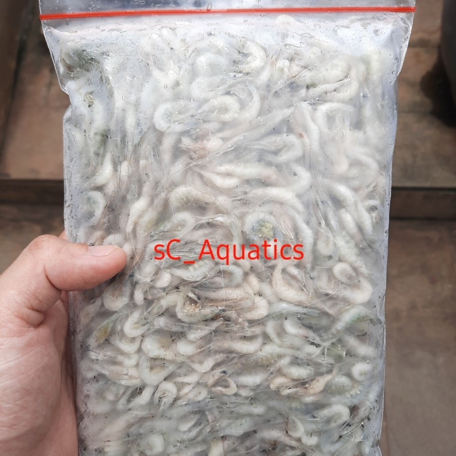 

Udang beku/Udang air tawar/pakan ikan 500gr