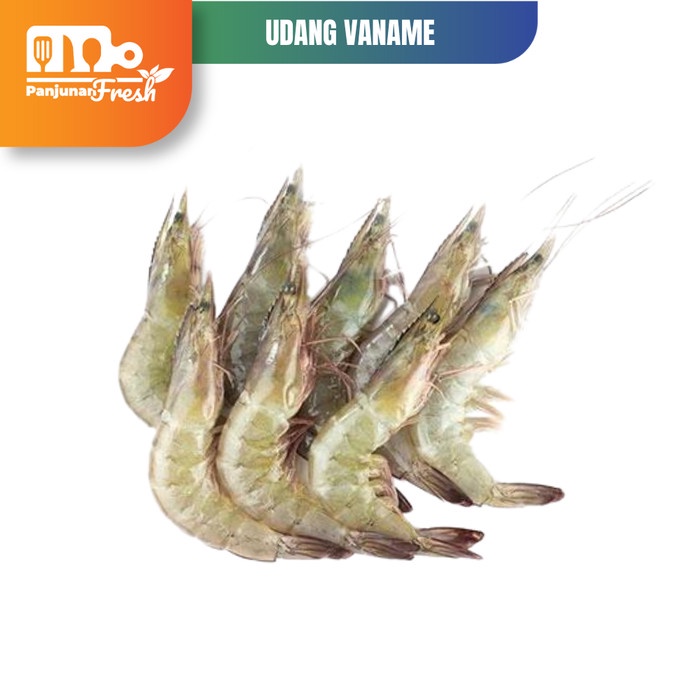 

UDANG VANAME BESAR FRESH SEGAR 500 GRAM