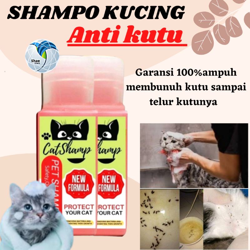 SHAMPO SAMPO ANTI KUTU DAN JAMUR KULIT CATSHAMP TERMURAH SHAESTORE15