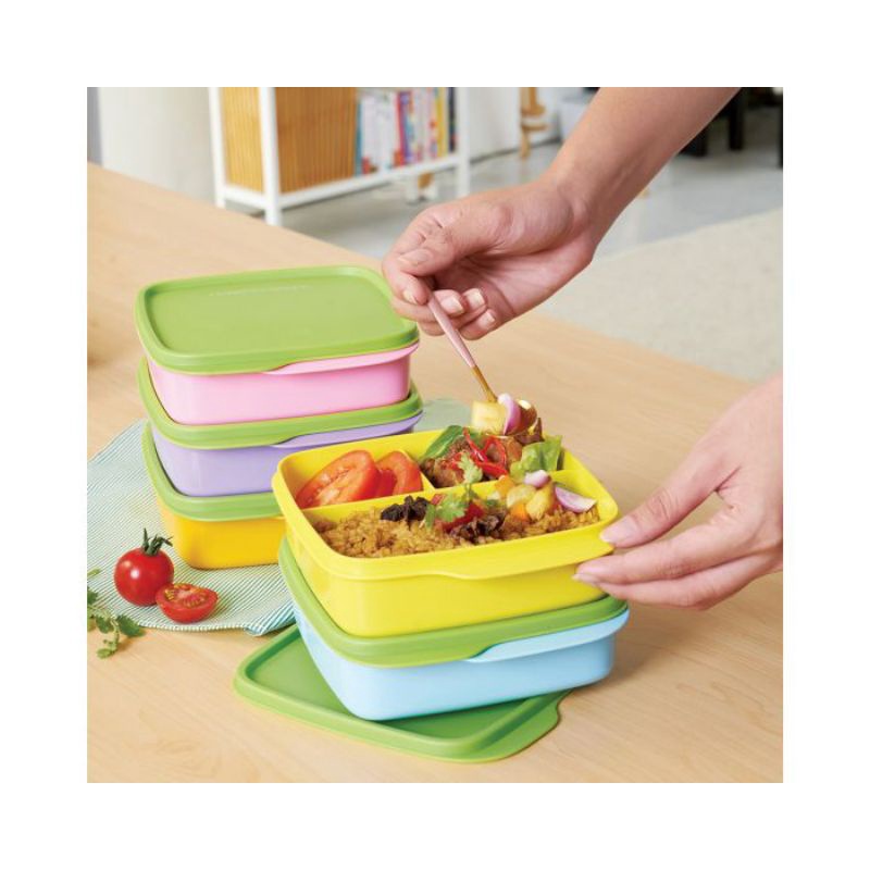 PROMO LOLY TUP (1) / Tempat makan bersekat / lolly tup // Luna Moorlife