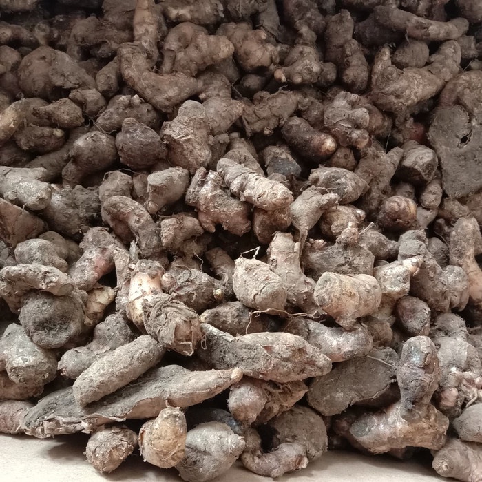 

TRADISIONALMINUMAN- JAHE MERAH FRESH 1KG SIZE KECIL -MINUMAN-TRADISIONAL.