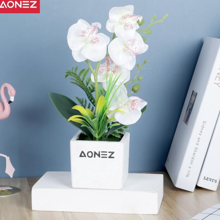 [KODE 1920]  Aonez Bunga hias Bonsai Phalaenopsis pot Semen persegi