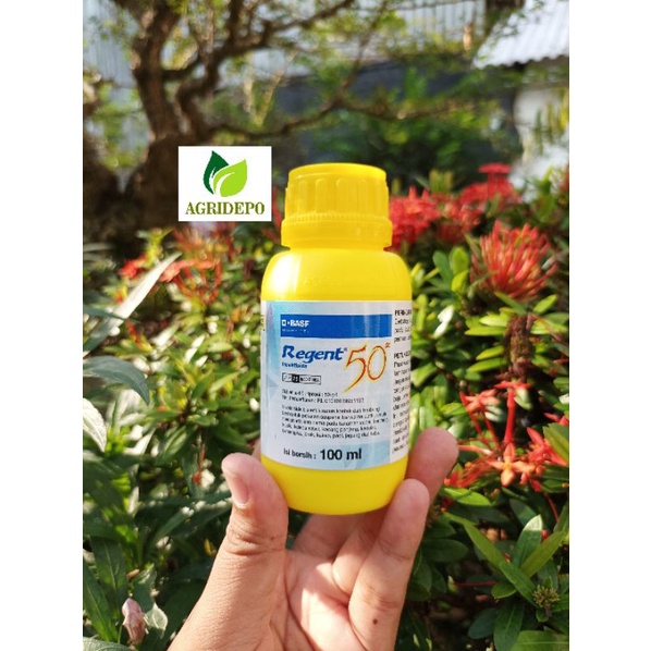 Pestisida Insektisida Sistemik REGENT 100ml Mengatasi Ulat Buah Semut Lalat ASLI