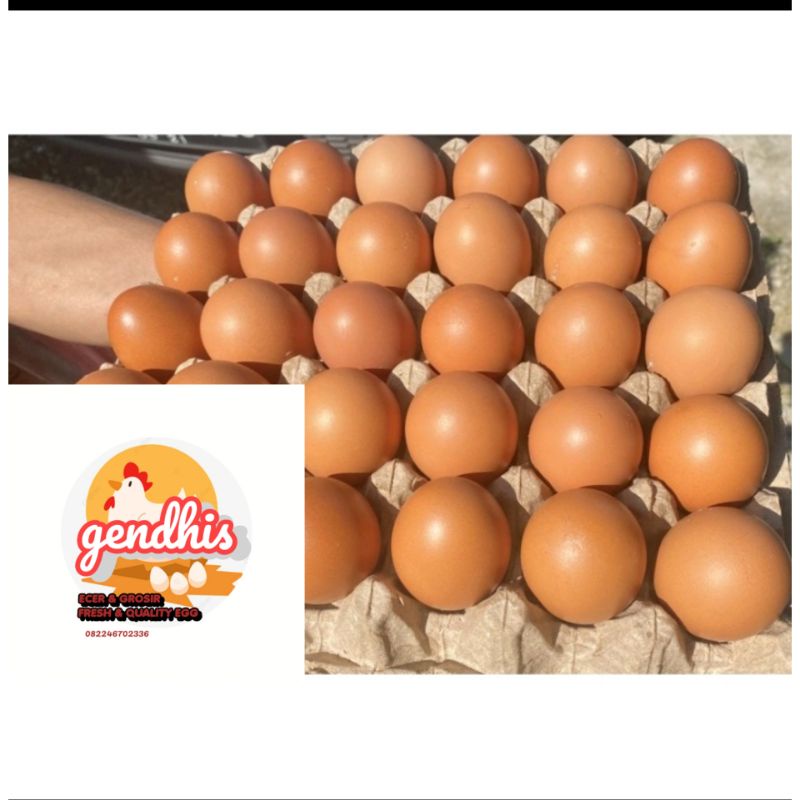 

TELUR BLITAR 1KG