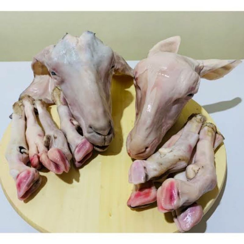 

kepala kambing dan 4 kaki