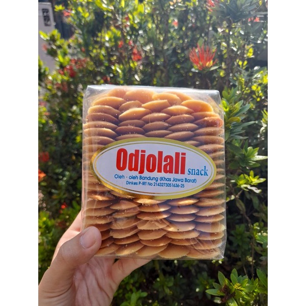 

Lidah Kucing Odjolali