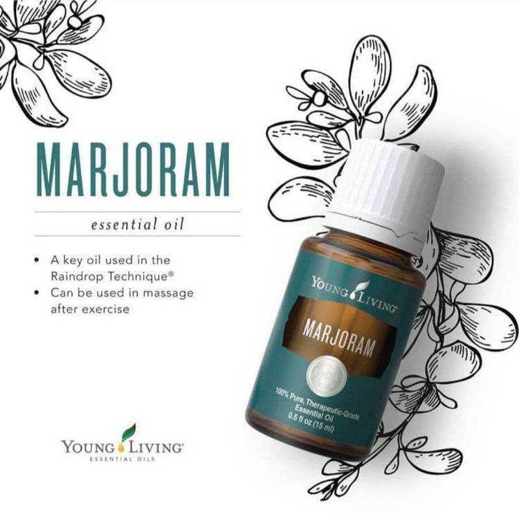 YOUNG LIVING ESSENTIAL OIL | MARJORAM 15 ML