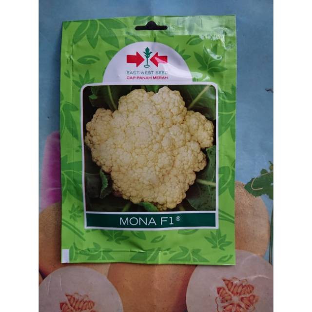 Benih Bibit Kol Bunga Dataran Rendah MONA F1 250 Bj