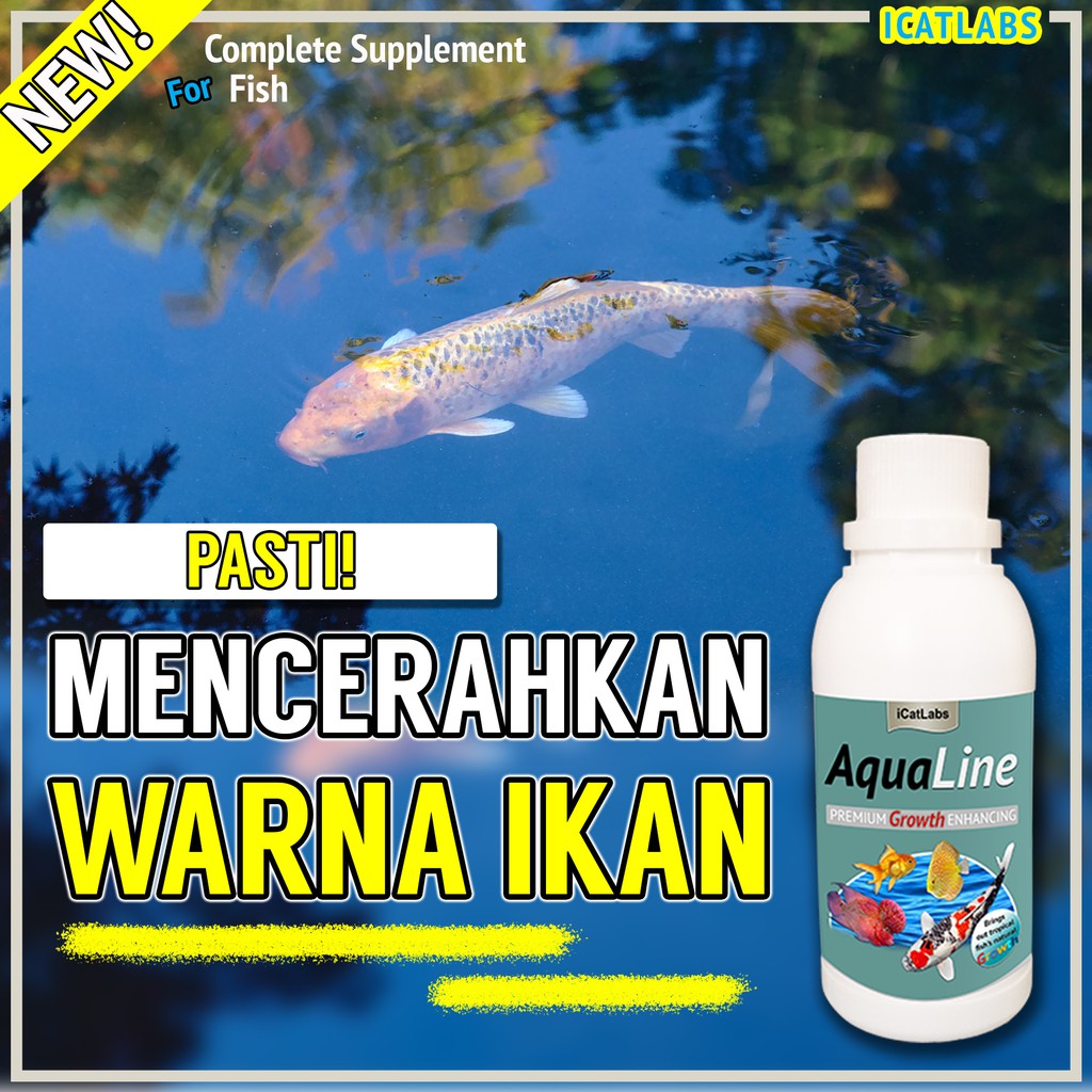 [A3] AQUALINE PAKAN WARNA IKAN IKAN LOUHAN IKAN KOI ARWANA IKAN KOKI AQUARIUM IKAN HIAS IKAN ARWANA