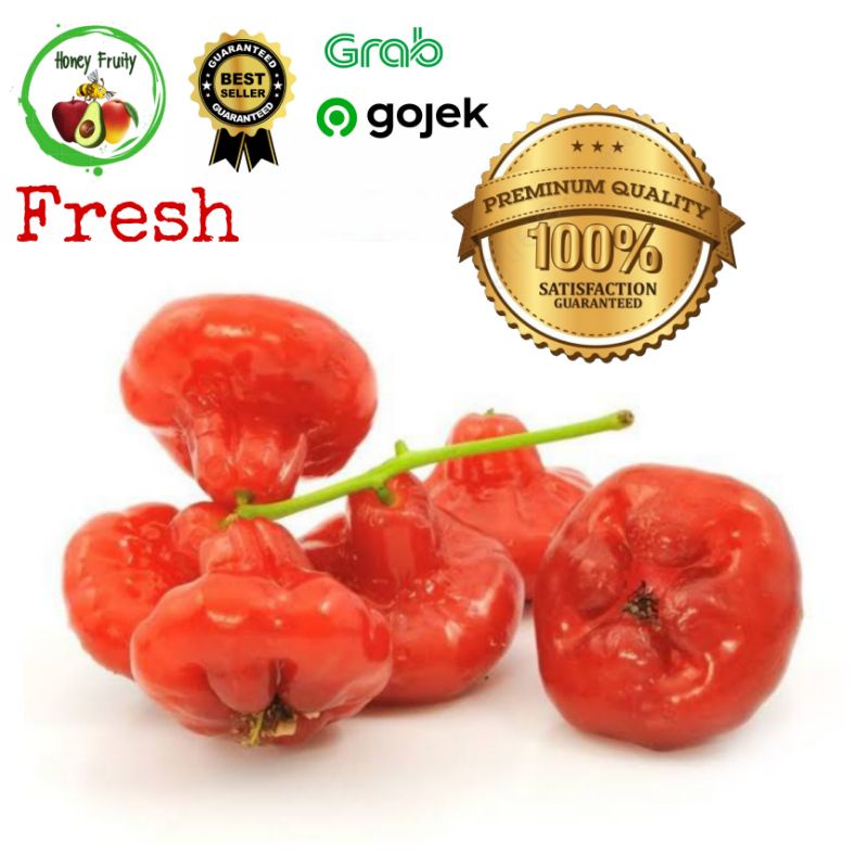 

Jambu Rujak cincalo merah 1 kg