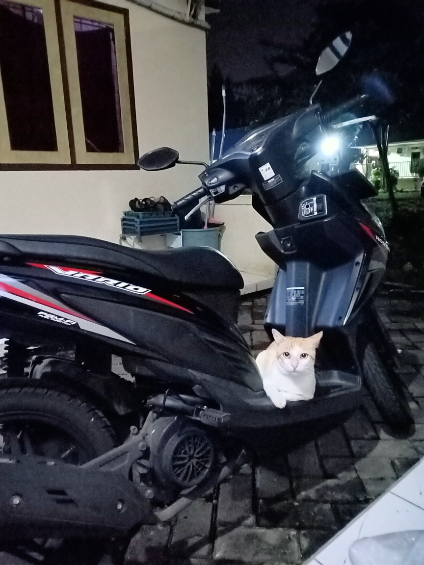 Semen Oker Semen Warna Semen Nat Naat Nad Naad Keramik Marmer Tegel Porselen Porselain Mozaik