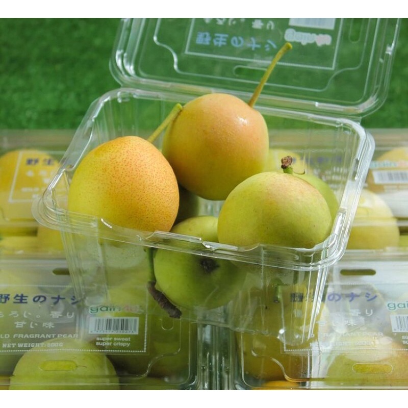 

Buah pear xianglie mini fresh import jepang