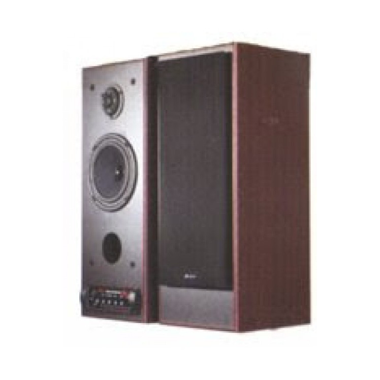 SPEAKER AKTIF SALSA 302 SW
