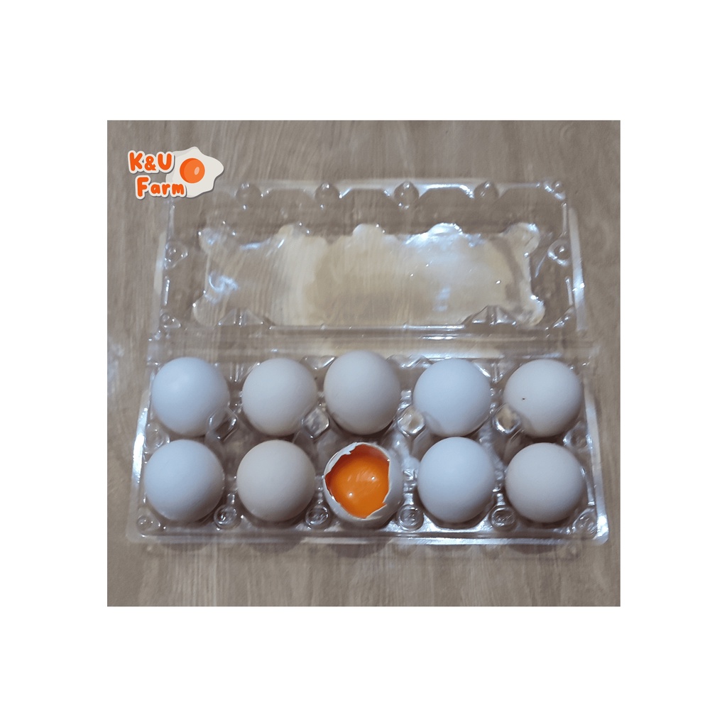 

Telur Ayam Kampung Omega