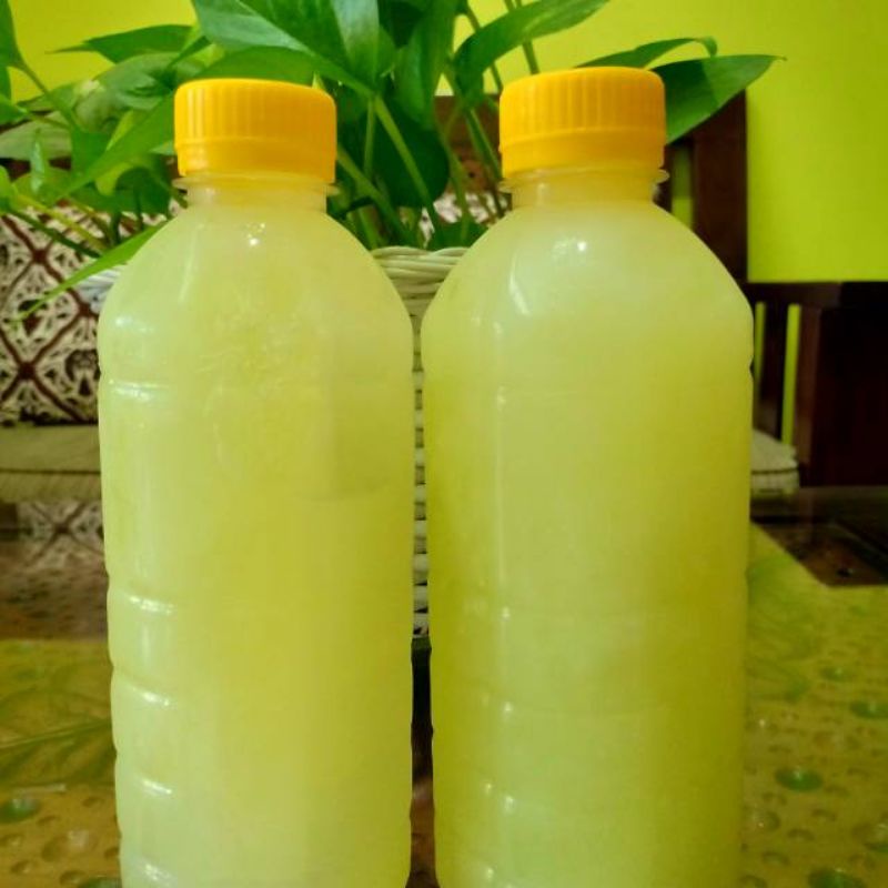 

Grosir Whey Kefir Susu sapi 15 botol