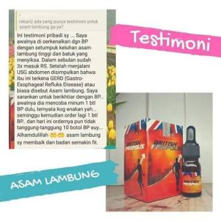 Jual Propolis Gold Surabaya Distributor British Propolis