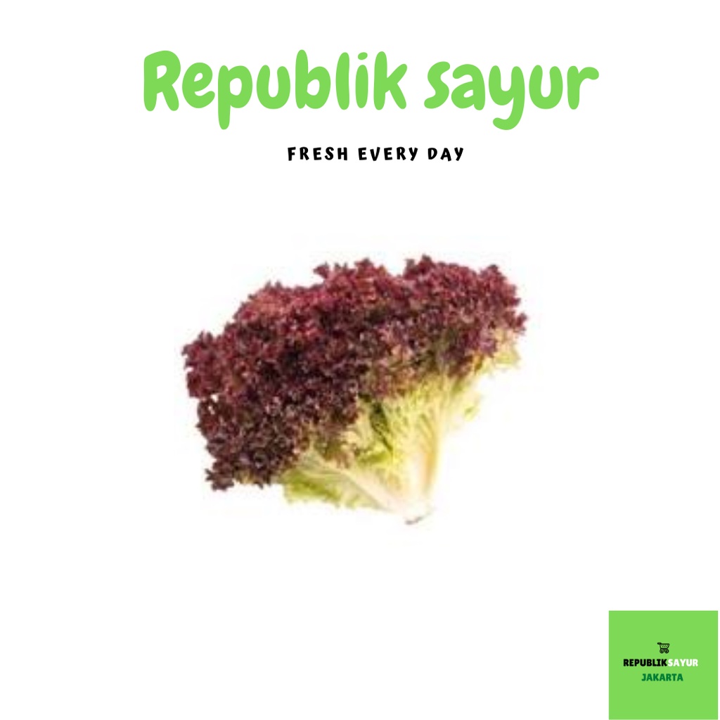 

Lettuce Lolorosa 250gr