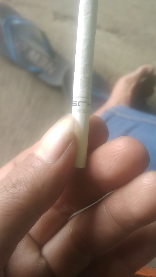 Langsol Putih Batu Putih