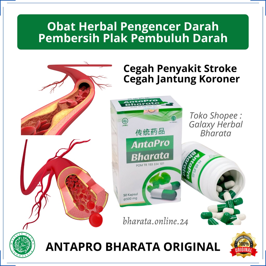 Jual Obat Herbal Pengencer Darah Antapro Bharata Obat Pembersih Plak Pembuluh Darah Obat 7363