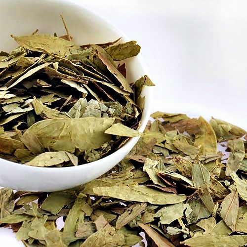 

600g Teh Daun Jati Cina / Senna Leaf / Daun Jati