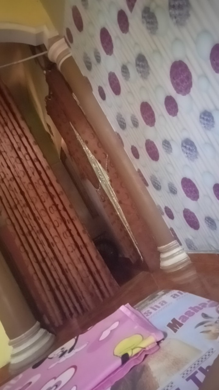 Bibit Jambu Air Madu Susu