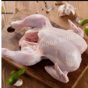 

ayam negri segar