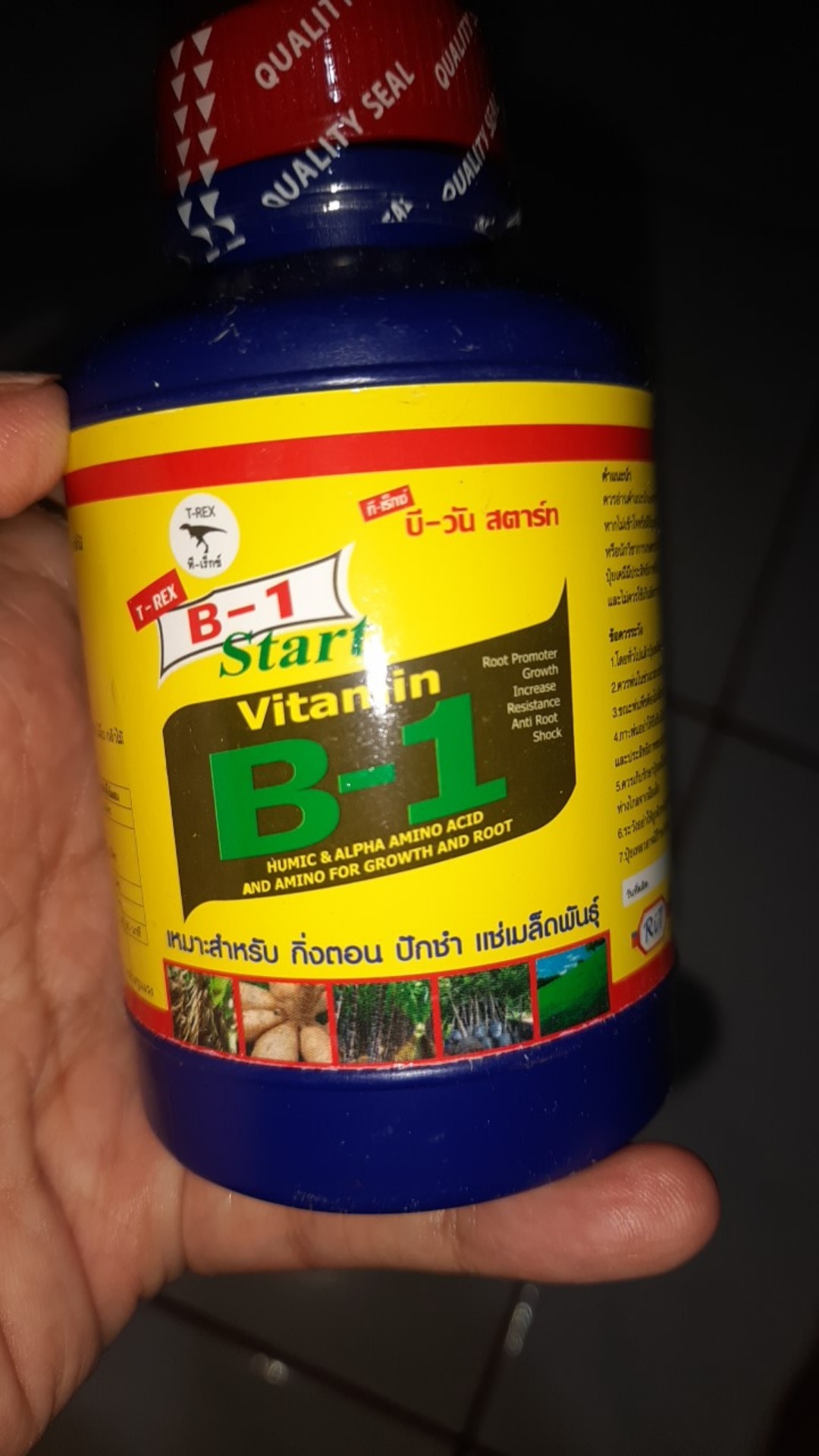 27+ Cara memakai vitamin b1 thailand ideas in 2021 