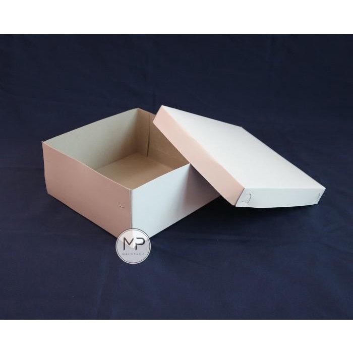 

Dus Kotak Nasi Uk. 22X22Cm (50Pcs) 010