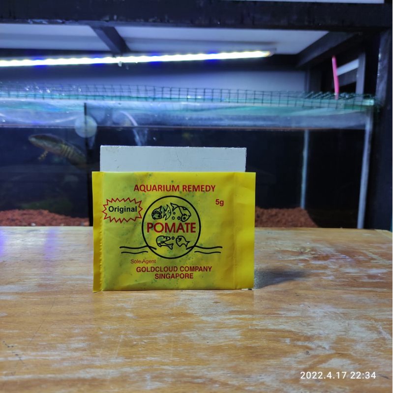 OBAT IKAN POMATE ASLI SINGAPORE BERHOLOGRAM