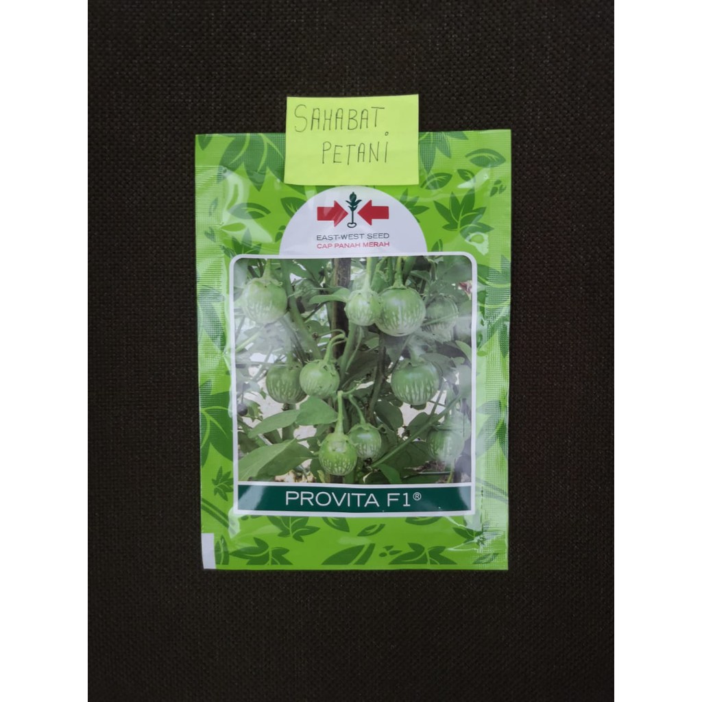 Benih Terong Bulat Hijau Provita 400 Butir