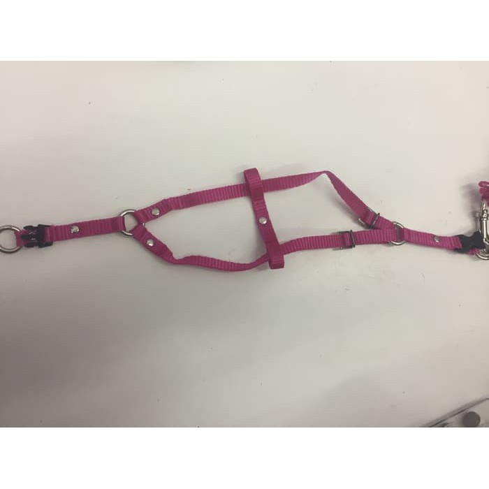 tali hernes harnes kucing musang hewan bahan nylon