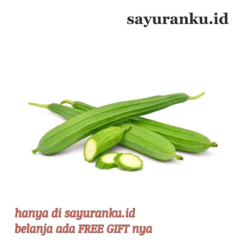 

oyong 500 gram sayur segar sayuran fresh pasar murah pasar jakarta
