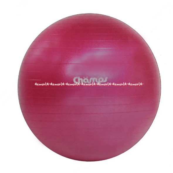 Champs Fitness Training Anti Burst Gym Ball 75cm Champ Camps Bola Untuk Yoga Gym Pink Balls Bola