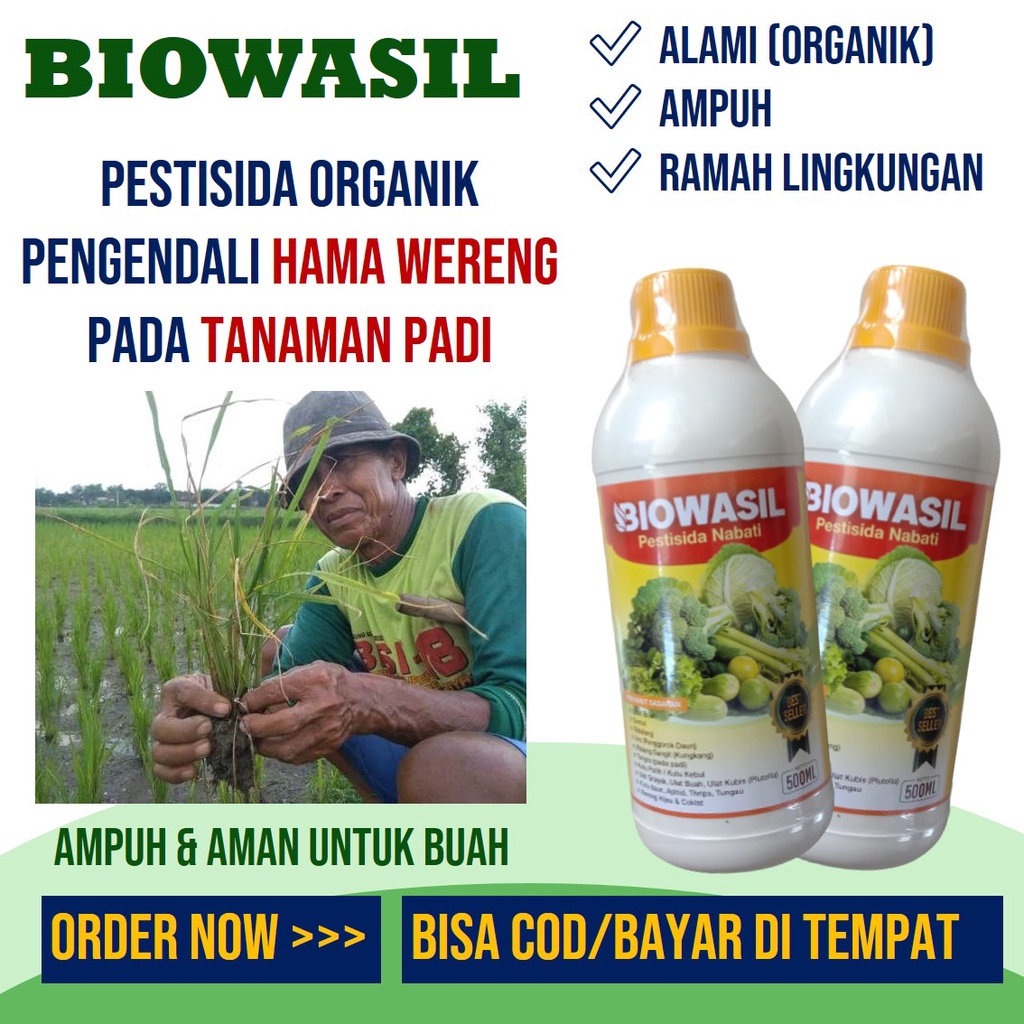 PESTISIDA BIOWASIL - obat hama wereng paling ampuh, obat hama wereng padi paling ampuh alami, obat h