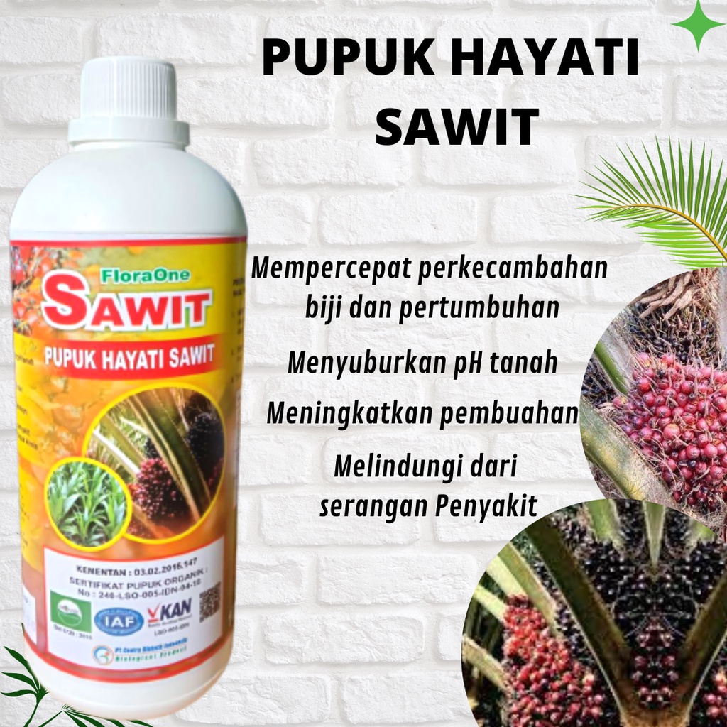 Pupuk kelapa sawit yang bagus, pupuk kelapa sawit umur 2 tahun, pupuk FLORA ONE Cair Untuk SAWIT