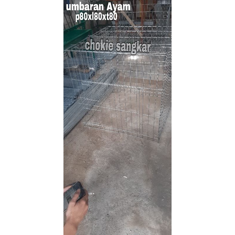 Kandang ayam Jago