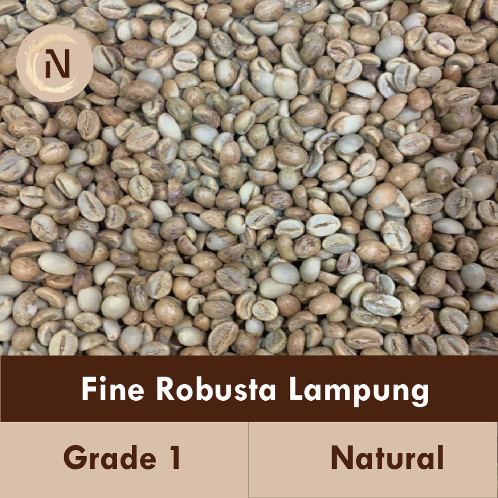 500 g biji kopi mentah   green bean fine robusta lampung g 1 natural