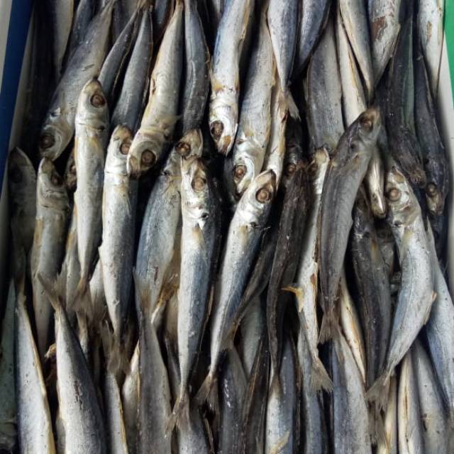 

Ikan rebus layang 500 gram