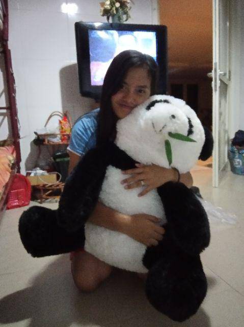 Panda jumbo duduk rumput