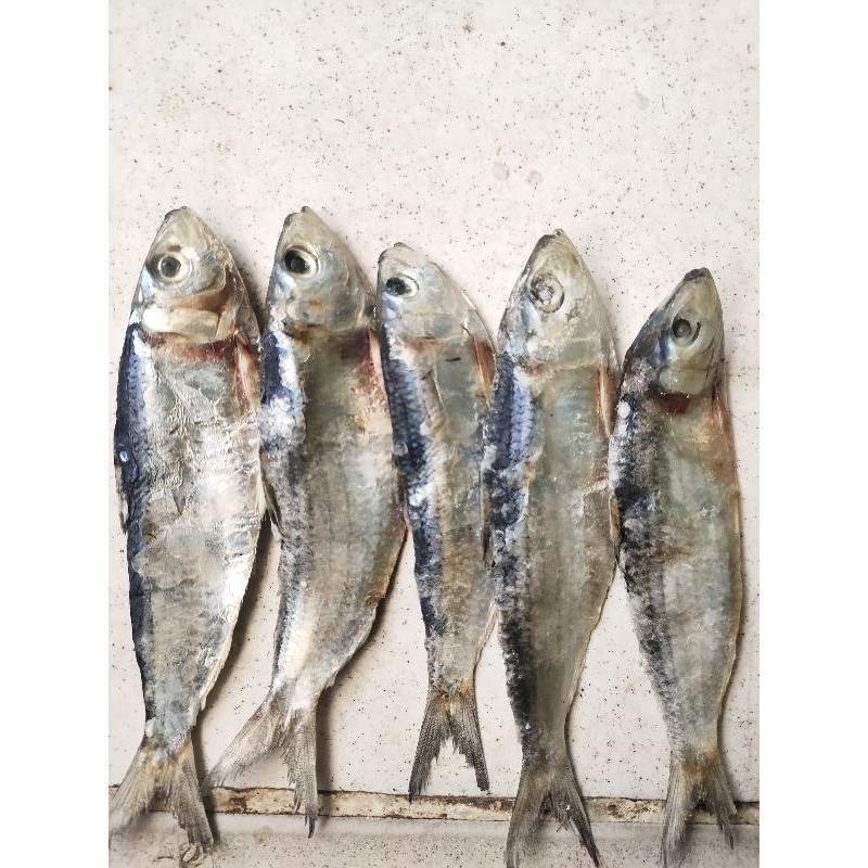 

ikan asin tembang