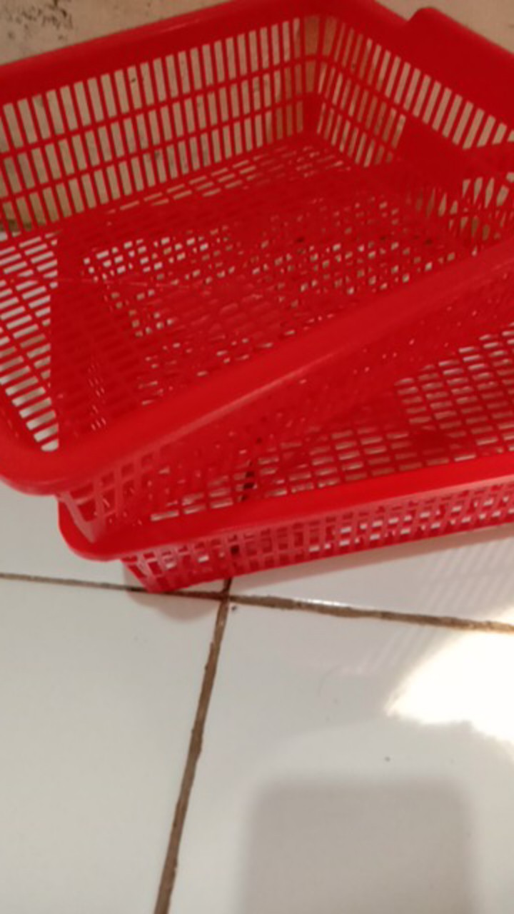 Tempat Surat Ukuran S / Keranjang Plastik Serbaguna Buah Dan Sayur Doky
