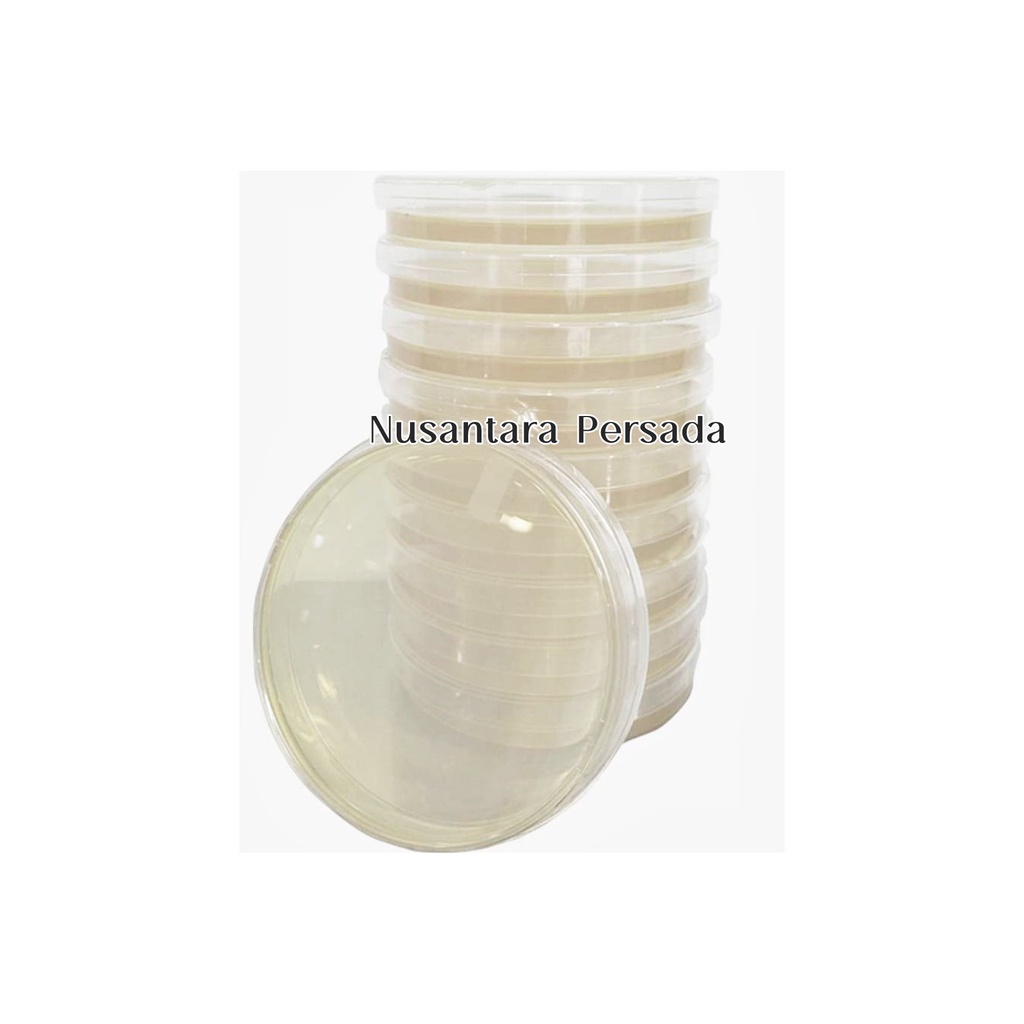 Alat Laboratorium PDA Plate Potato Dextrose Agar 1 Pack