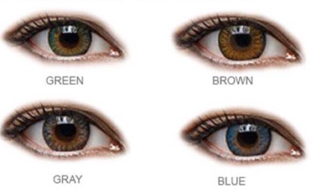 SOFTLENS NEWLOOK CHARM NORMAL