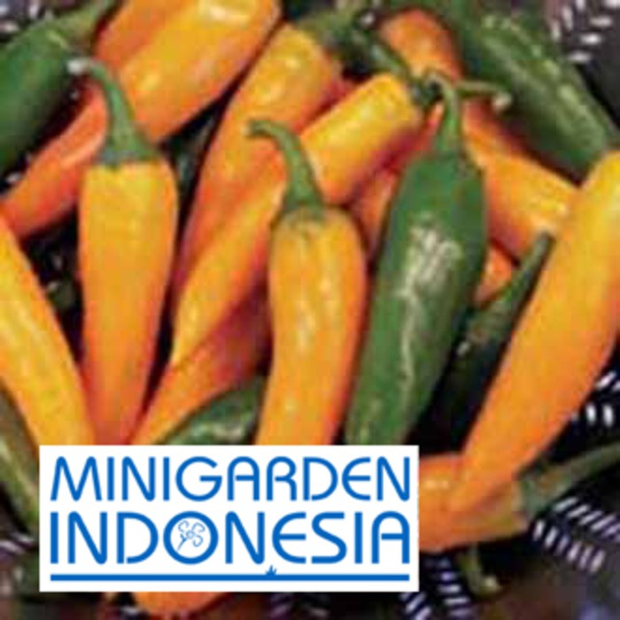 Benih Cabai rawit PEPPER HOT BULGARIAN CARROT 1 BIJI bibit sayur cabai cabe import F1 FOTHERGILLS